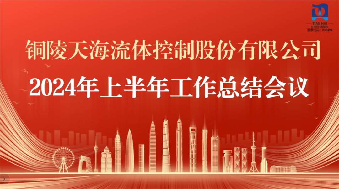 铜陵天海流体2024年上半年工作总结会议成功召开